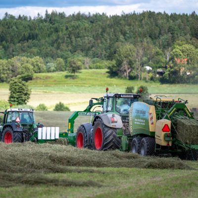 2024-07-02 (121 av 190) 2024-07-02 (121 av 190)